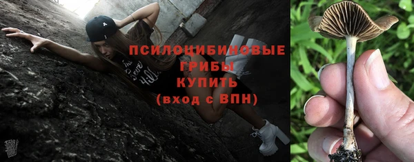 Альфа ПВП Липки